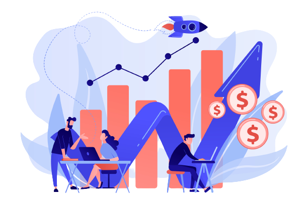 Digital Services Provider